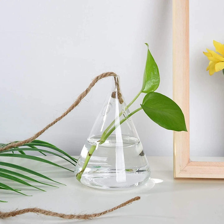 3-Piece Glass Hanging Terrarium Vases - Stem & Sill