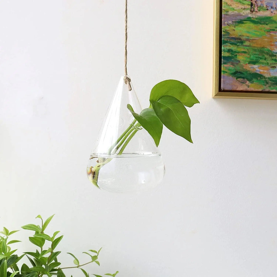 3-Piece Glass Hanging Terrarium Vases - Stem & Sill