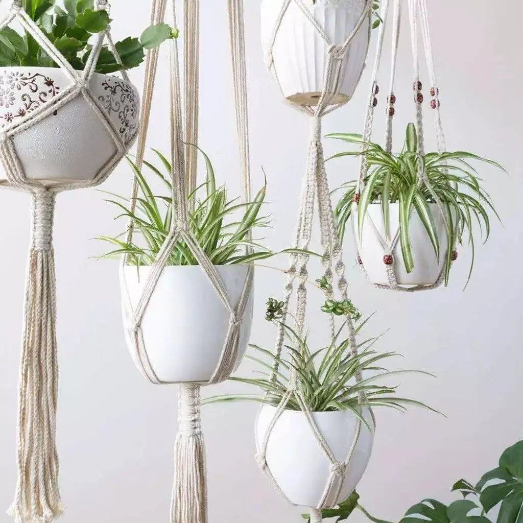 Boho Chic Macrame Plant Hangers - Stem & Sill