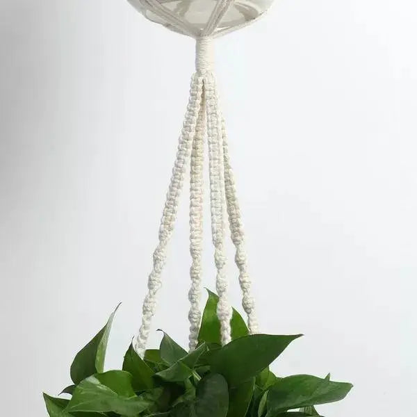 Boho Chic Macrame Plant Hangers - Stem & Sill