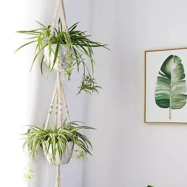 Boho Chic Macrame Plant Hangers - Stem & Sill