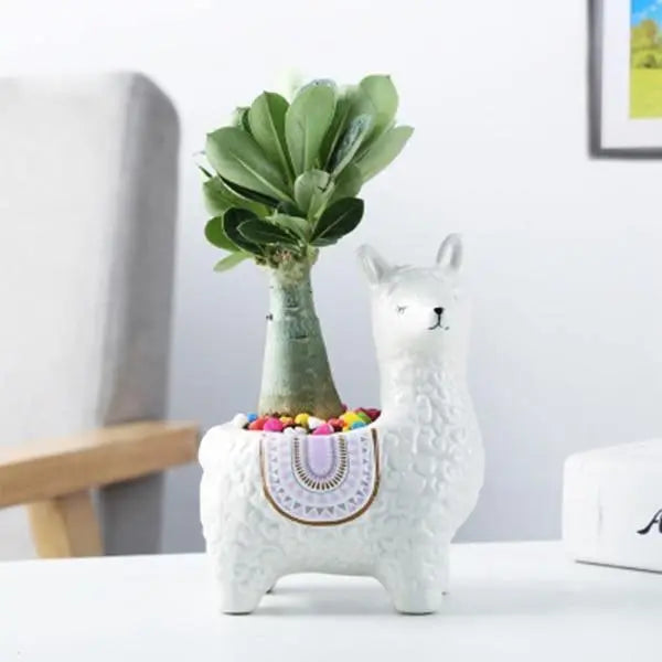 Alpaca Ceramic Succulent Planter White - Stem & Sill