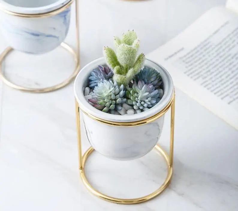 Ceramic Pot Planter with Gold Metal Plant Stand - Stem & Sill