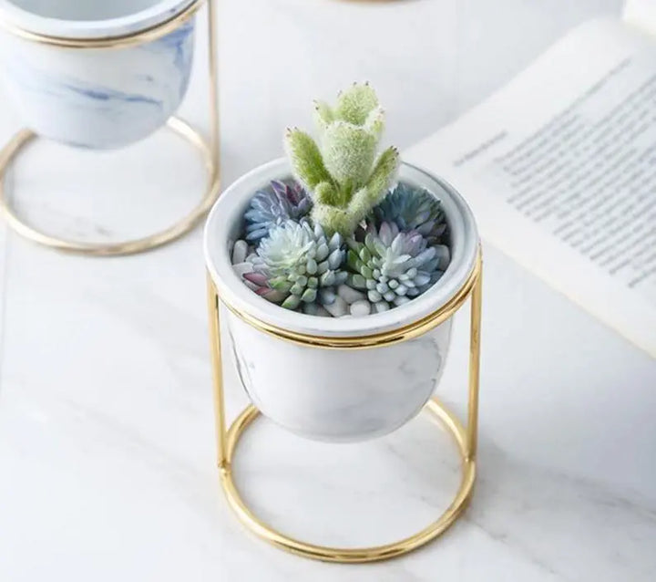  Ceramic Pot Planter with Gold Metal Plant Stand Grey-Pink-Green-Blue-White - Stem & Sill