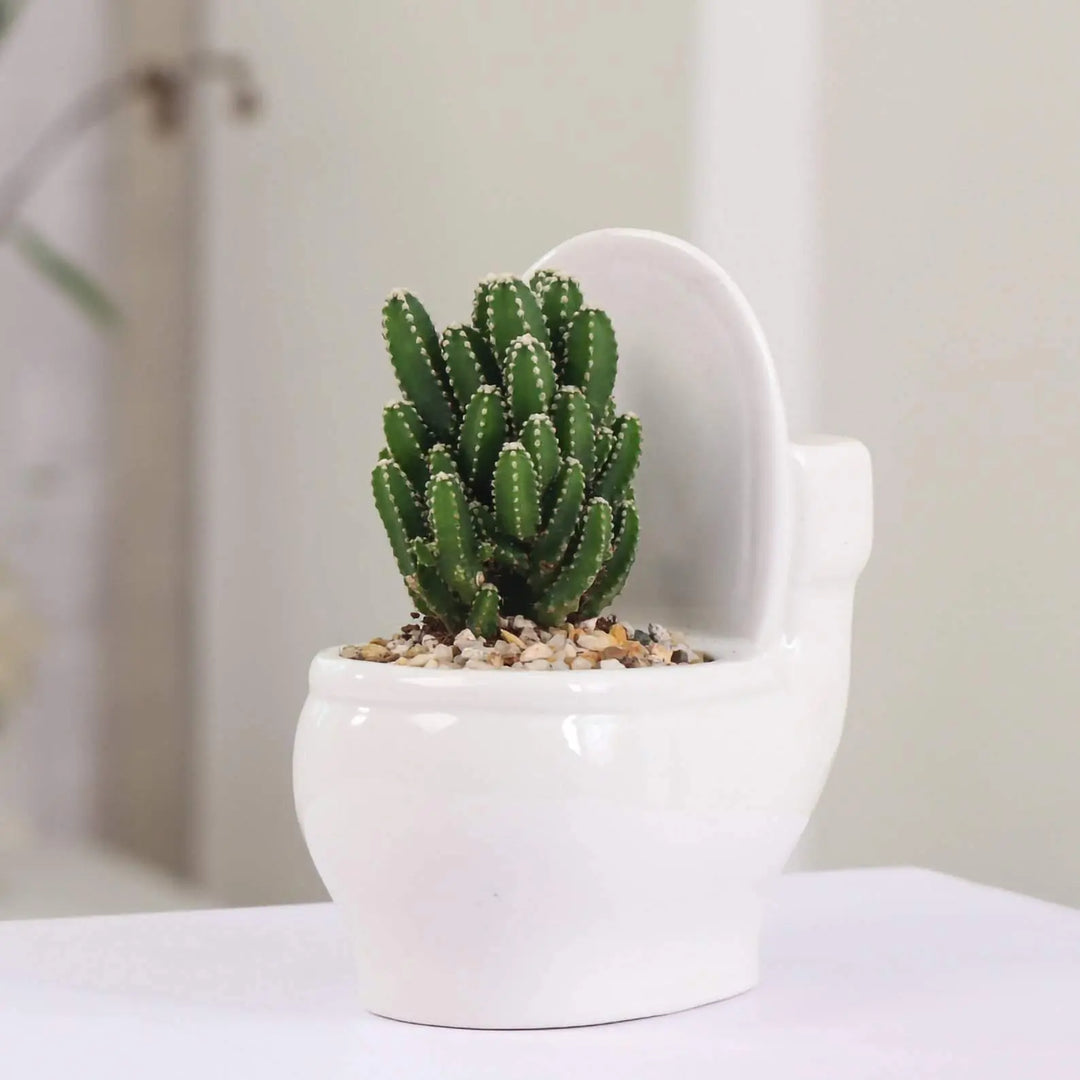 Ceramic Toilet Succulent Planter - Stem & Sill