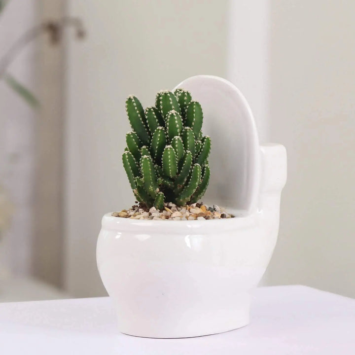  Ceramic Toilet Succulent Planter Default Title - Stem & Sill