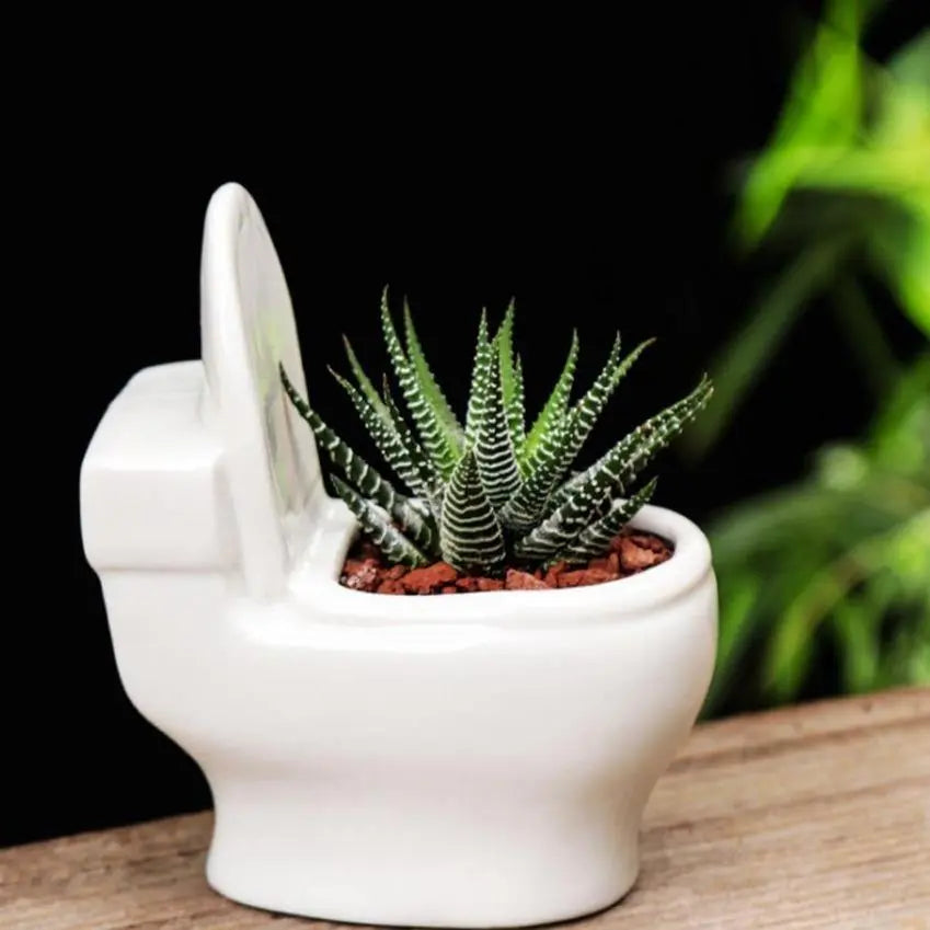 Ceramic Toilet Succulent Planter - Stem & Sill