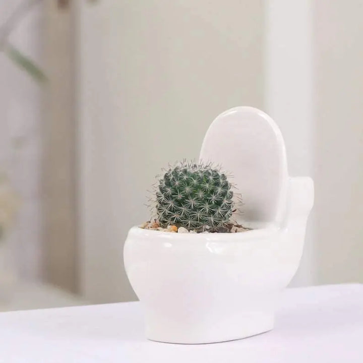  Ceramic Toilet Succulent Planter Default Title - Stem & Sill