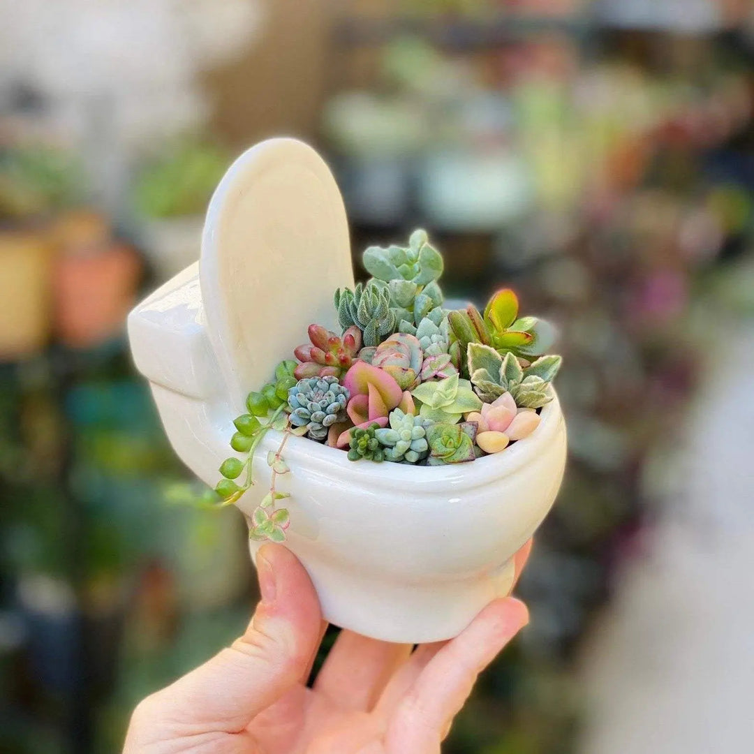  Ceramic Toilet Succulent Planter Default Title - Stem & Sill