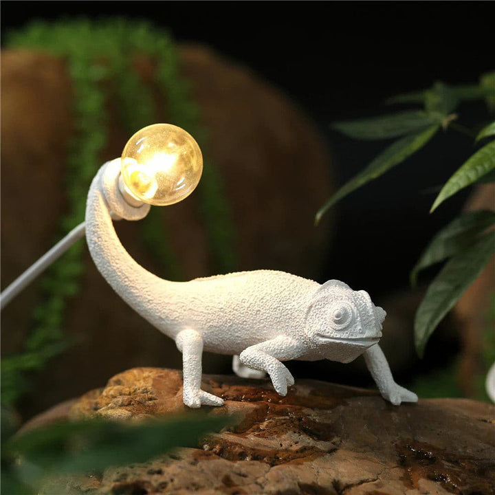 Chameleon Table Lamp - Stem & Sill