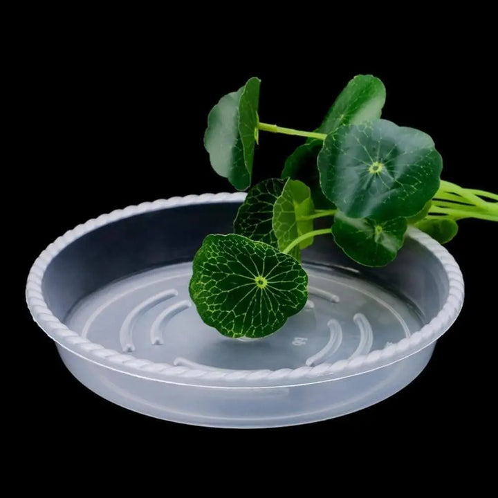 10-Piece Heavy Duty Clear Plastic Plant Saucer Set - Stem & Sill