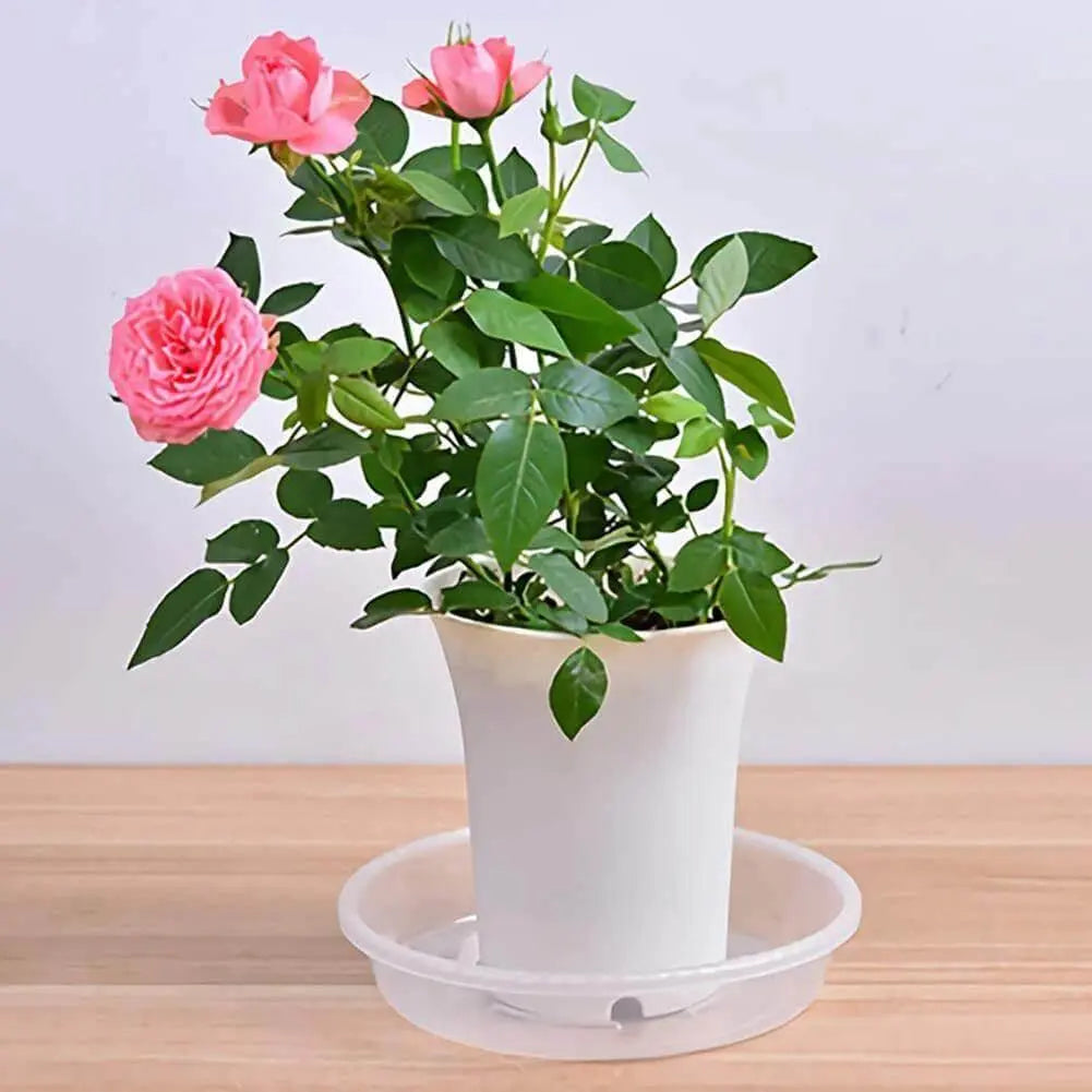 10-Piece Heavy Duty Clear Plastic Plant Saucer Set - Stem & Sill