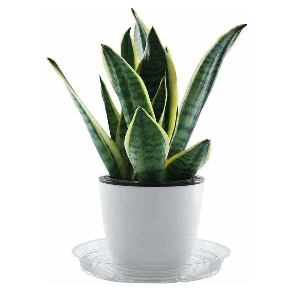 10-Piece Heavy Duty Clear Plastic Plant Saucer Set - Stem & Sill