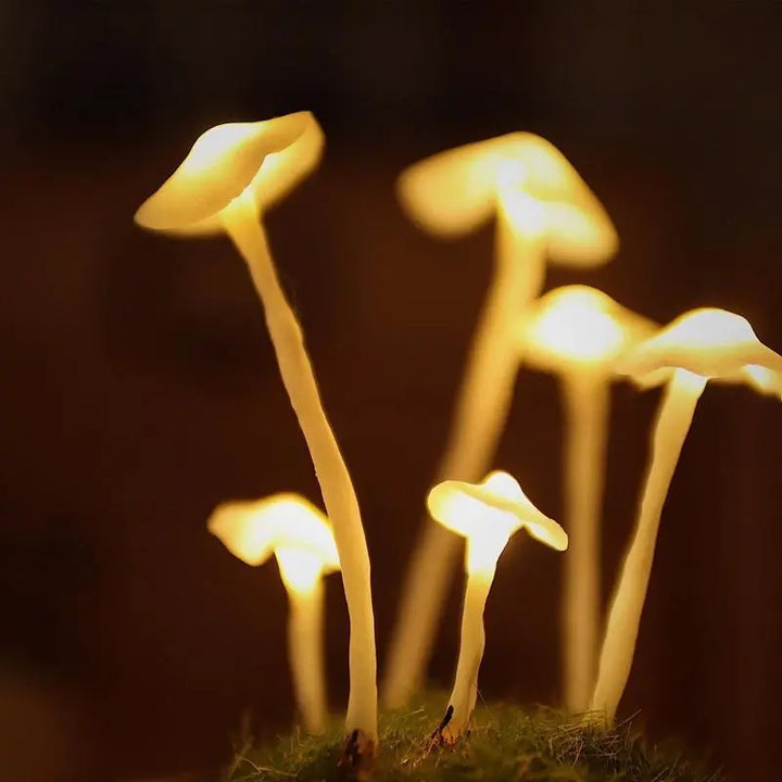 Enchanting Mushroom Lamp DIY Kit - Stem & Sill