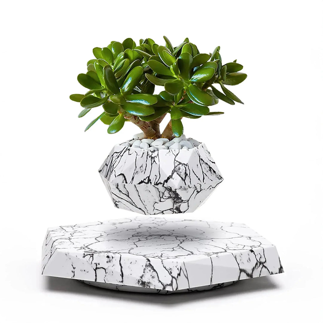 Floating Magnetic Plant Pot - Stem & Sill