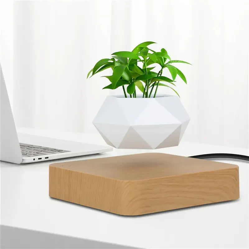 Floating Magnetic Plant Pot - Stem & Sill