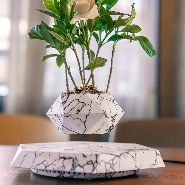 Floating Magnetic Plant Pot - Stem & Sill