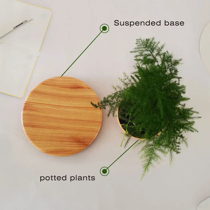 Floating Magnetic Plant Pot - Stem & Sill