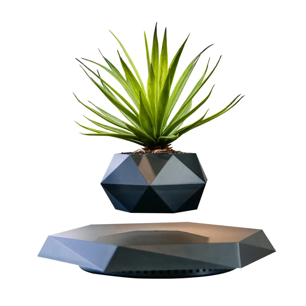 Floating Magnetic Plant Pot - Stem & Sill