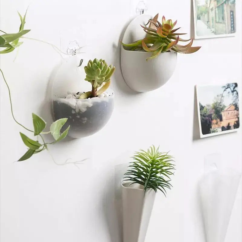 Geometric Hanging Wall Pot - Stem & Sill