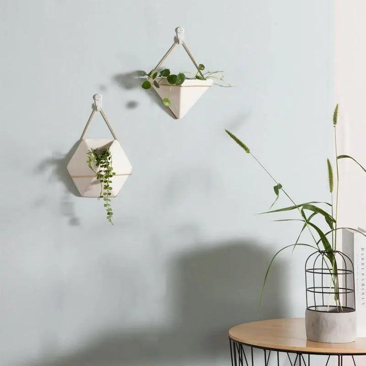 Geometric Hanging Terrarium - Stem & Sill