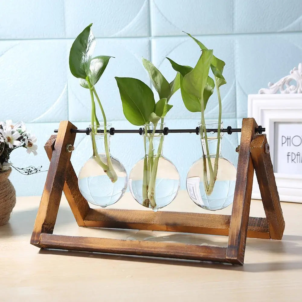 Glass Plant Propagation Vessel with Wooden A-Frame Stand - Stem & Sill