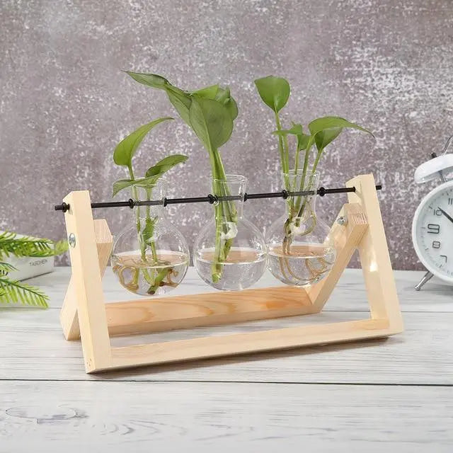 Glass Plant Propagation Vessel with Wooden A-Frame Stand - Stem & Sill