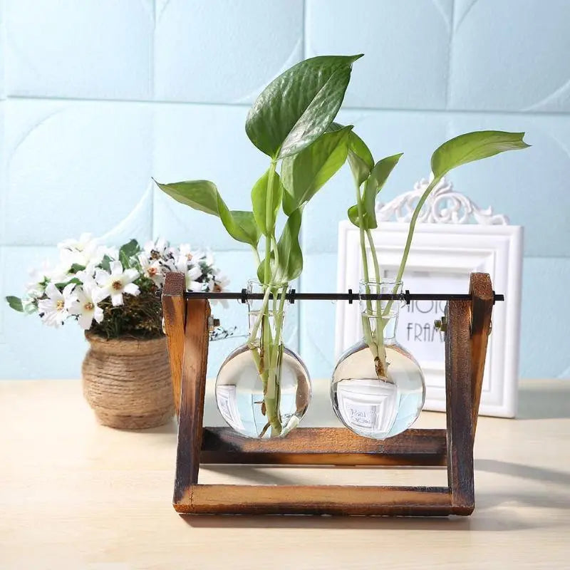 Glass Plant Propagation Vessel with Wooden A-Frame Stand - Stem & Sill