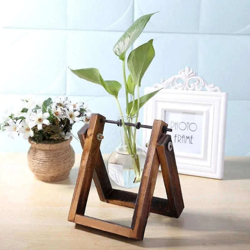 Glass Plant Propagation Vessel with Wooden A-Frame Stand - Stem & Sill