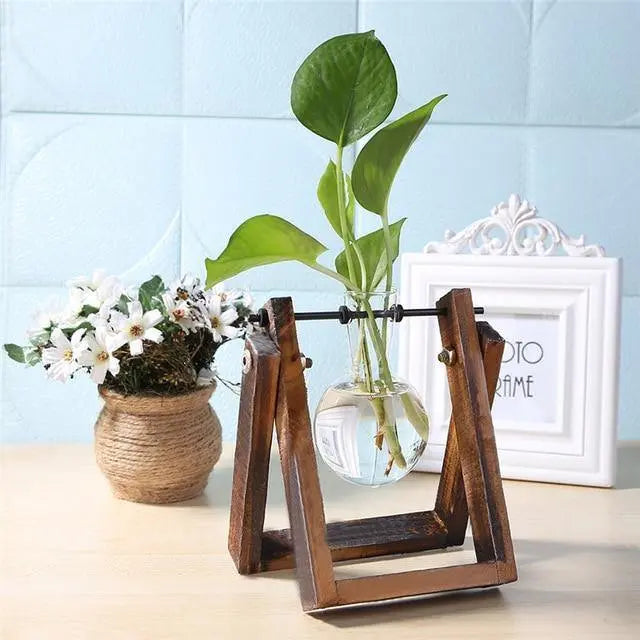 Glass Plant Propagation Vessel with Wooden A-Frame Stand - Stem & Sill