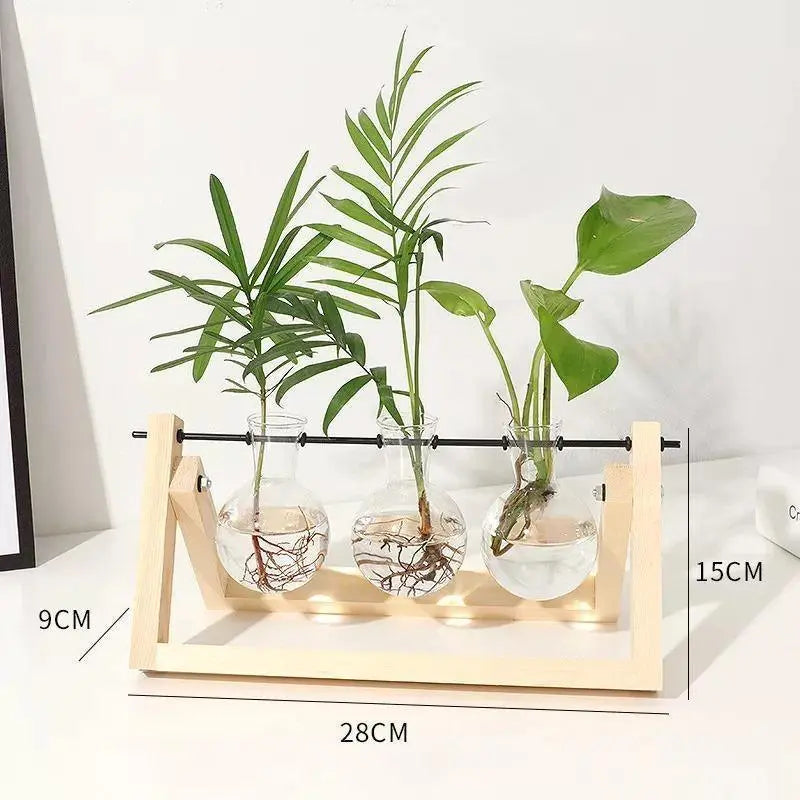 Glass Plant Propagation Vessel with Wooden A-Frame Stand - Stem & Sill