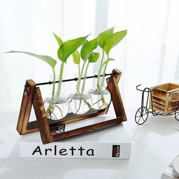 Glass Plant Propagation Vessel with Wooden A-Frame Stand - Stem & Sill