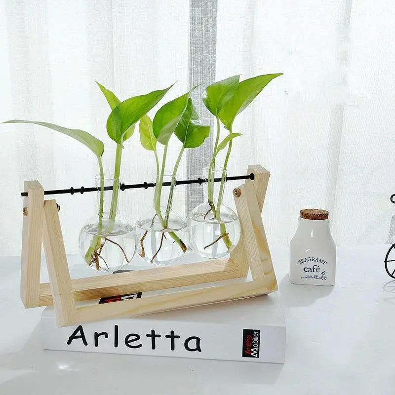 Glass Plant Propagation Vessel with Wooden A-Frame Stand - Stem & Sill