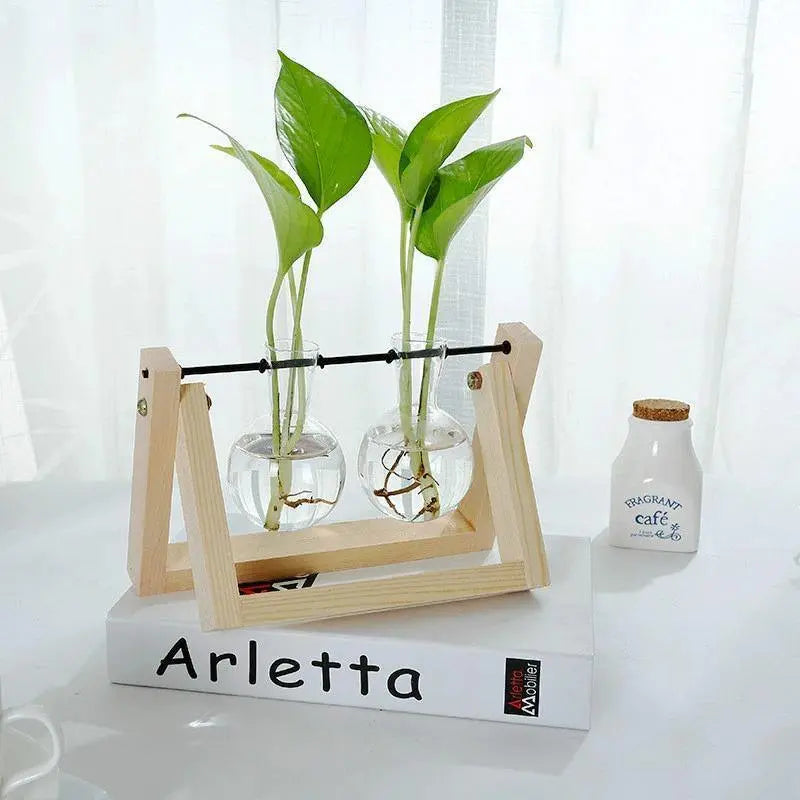 Glass Plant Propagation Vessel with Wooden A-Frame Stand - Stem & Sill