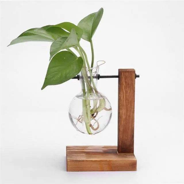 Glass Propagation Vase with Vertical Wooden Stand - Stem & Sill