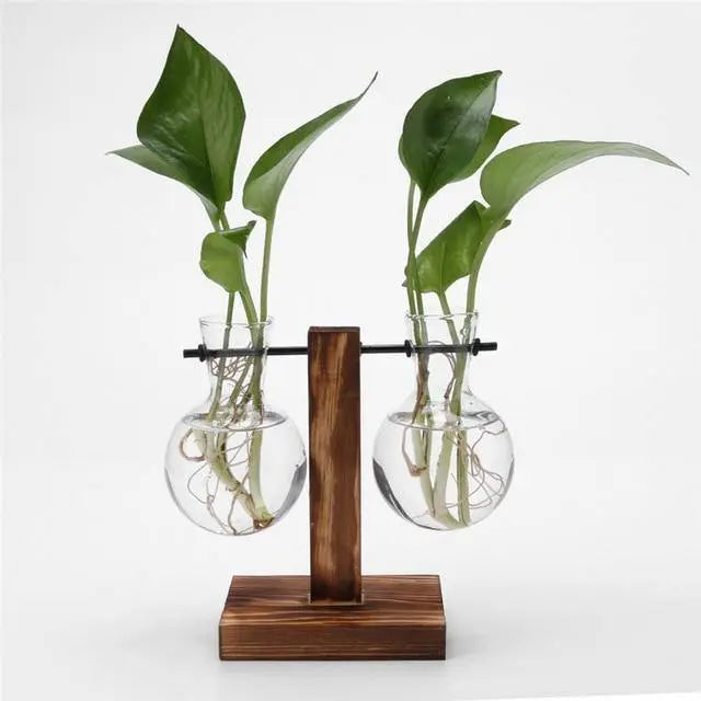 Glass Propagation Vase with Vertical Wooden Stand - Stem & Sill