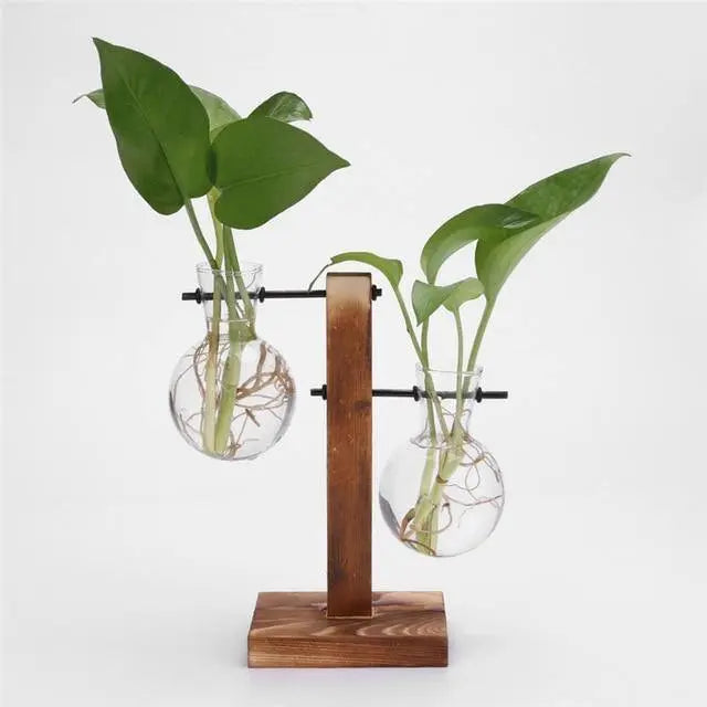 Glass Propagation Vase with Vertical Wooden Stand - Stem & Sill