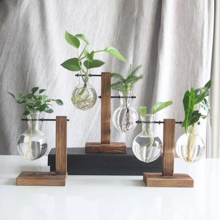 Glass Propagation Vase with Vertical Wooden Stand - Stem & Sill