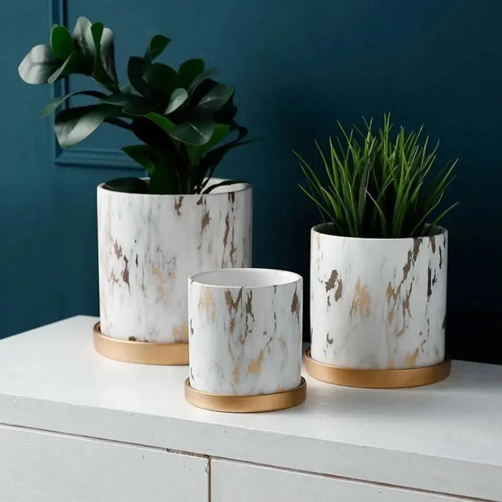 Golden Maze Flower Pots Set - Stem & Sill