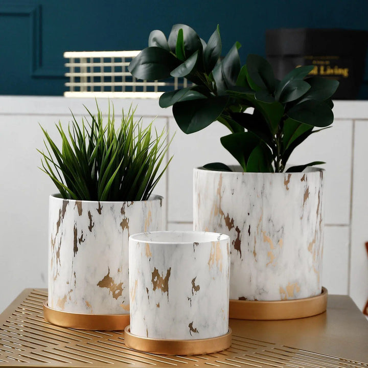 Golden Maze Flower Pots Set - Stem & Sill