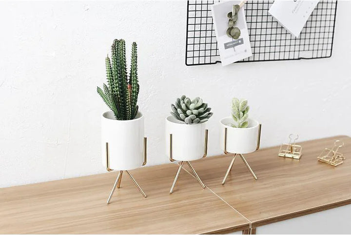  Succulent Planter Ceramic Pots with Geometric Metal Stand Black / Short / With Hole-Black / Short / Without Hole-Black / Medium / With Hole-Black / Medium / Without Hole-Black / Tall / With Hole-Black / Tall / Without Hole-Silver / Short / With Hole-Silver / Short / Without Hole-Silver / Medium / With Hole-Silver / Medium / Without Hole - Stem & Sill