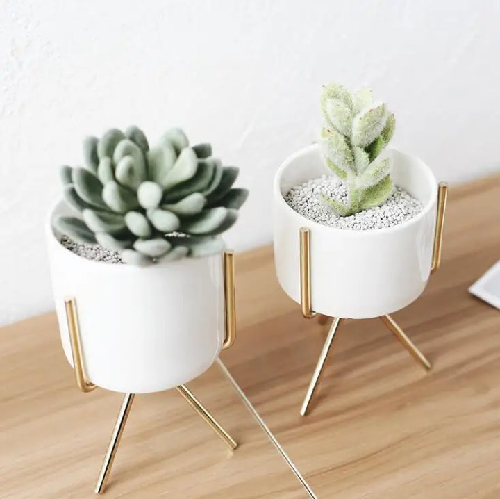  Succulent Planter Ceramic Pots with Geometric Metal Stand Black / Short / With Hole-Black / Short / Without Hole-Black / Medium / With Hole-Black / Medium / Without Hole-Black / Tall / With Hole-Black / Tall / Without Hole-Silver / Short / With Hole-Silver / Short / Without Hole-Silver / Medium / With Hole-Silver / Medium / Without Hole - Stem & Sill