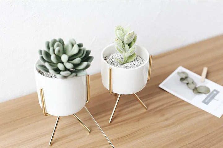  Succulent Planter Ceramic Pots with Geometric Metal Stand Black / Short / With Hole-Black / Short / Without Hole-Black / Medium / With Hole-Black / Medium / Without Hole-Black / Tall / With Hole-Black / Tall / Without Hole-Silver / Short / With Hole-Silver / Short / Without Hole-Silver / Medium / With Hole-Silver / Medium / Without Hole - Stem & Sill