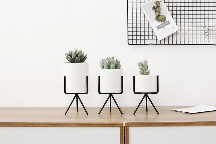  Succulent Planter Ceramic Pots with Geometric Metal Stand Black / Short / With Hole-Black / Short / Without Hole-Black / Medium / With Hole-Black / Medium / Without Hole-Black / Tall / With Hole-Black / Tall / Without Hole-Silver / Short / With Hole-Silver / Short / Without Hole-Silver / Medium / With Hole-Silver / Medium / Without Hole - Stem & Sill