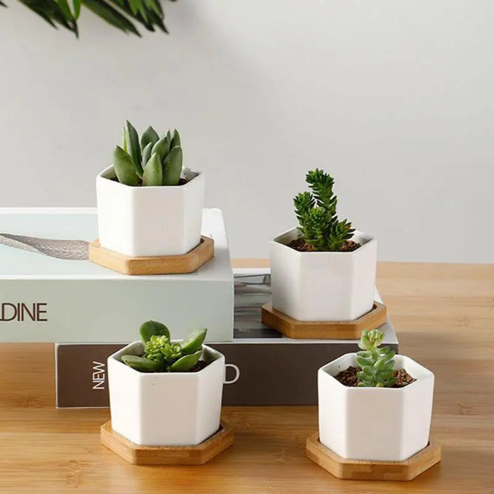 Hexagon Ceramic Planter with Bamboo Tray - Stem & Sill