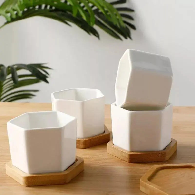 Hexagon Ceramic Planter with Bamboo Tray - Stem & Sill