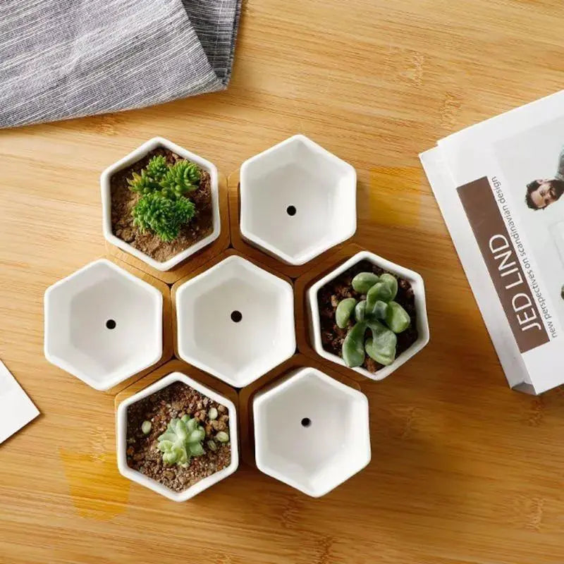 Hexagon Ceramic Planter with Bamboo Tray - Stem & Sill