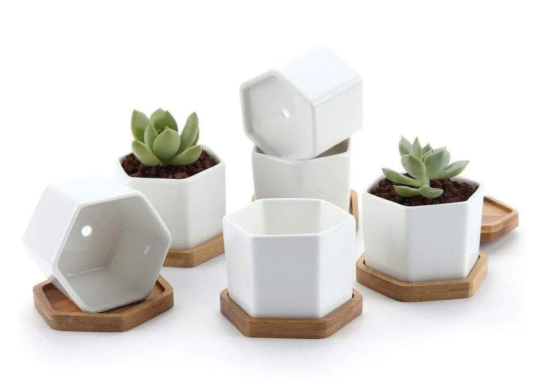 Hexagon Ceramic Planter with Bamboo Tray - Stem & Sill