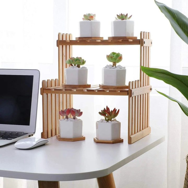 Hexagon Ceramic Planter with Bamboo Tray - Stem & Sill