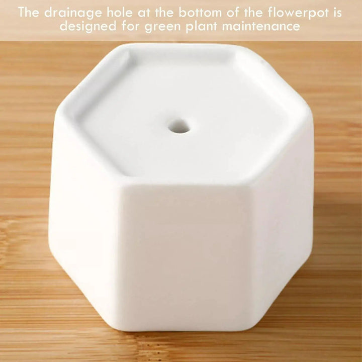 Hexagon Ceramic Planter with Bamboo Tray - Stem & Sill